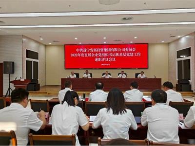 香港六宝台宝典党委召开2022年度直属企业党组织书记抓基层党建工作述职评议会议